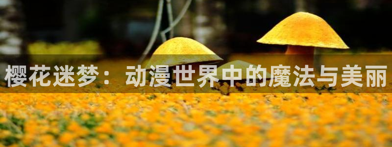 里番动漫看：樱花迷梦：动漫世界中的魔法与美丽