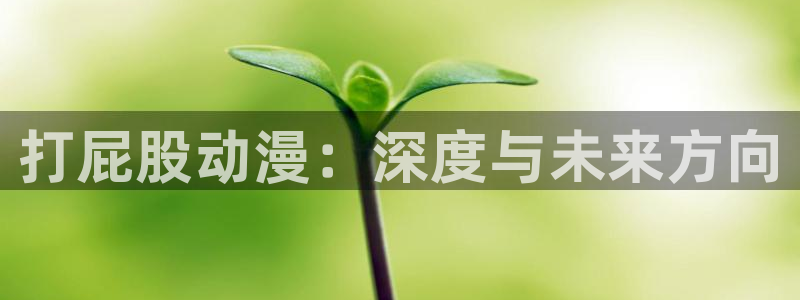 2020年里番动漫：打屁股动漫：深度与未来方向