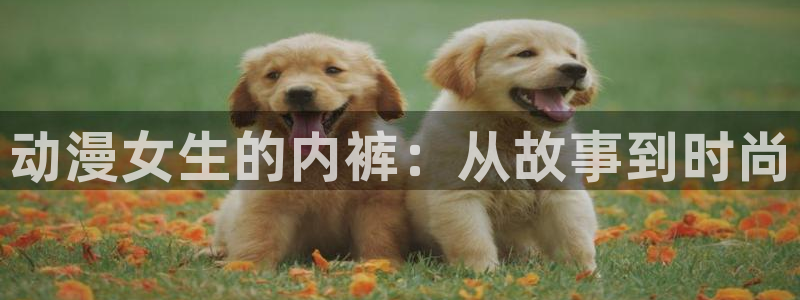 在线看里番动漫：动漫女生的内裤：从故事到时尚