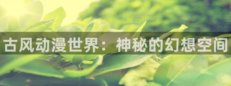 里番动漫风车动漫：古风动漫世界：神秘的幻想空间