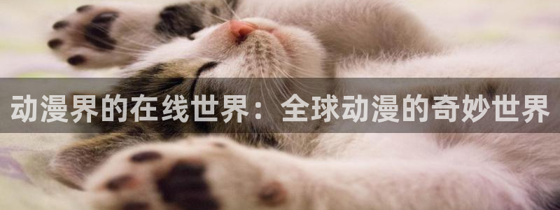 2025最新里番动漫：动漫界的在线世界：全球动漫的奇妙世界