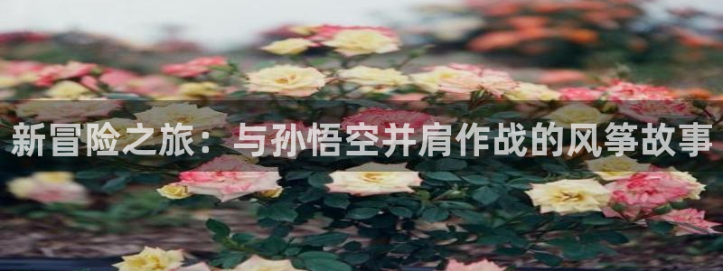 里番动漫社：新冒险之旅：与孙悟空并肩作战的风筝故事