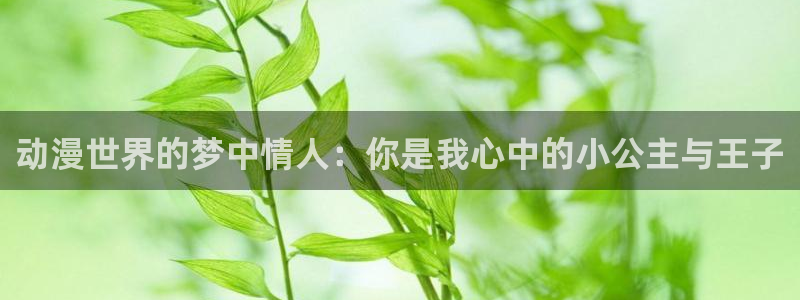 成人里番动漫：动漫世界的梦中情人：你是我心中的小公主与王子
